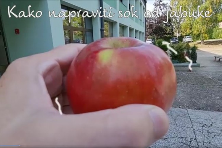 Kako napraviti sok od jabuke?