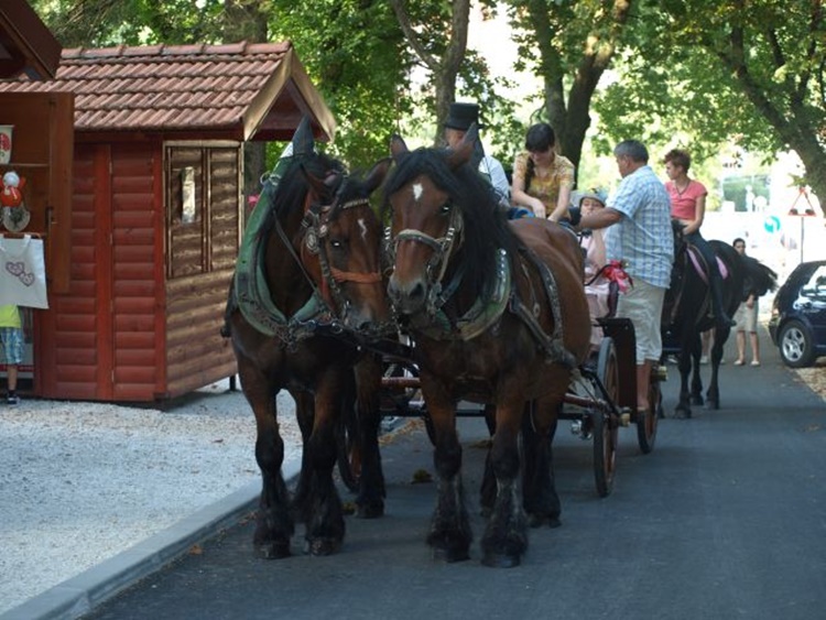 Noć krapinskog pračovjeka u sklopu Ljeta u Krapini donosi ove subote besplatni koncert Marka Škugora, a bit će tu i izložbe, programi za najmlađe i roštiljada