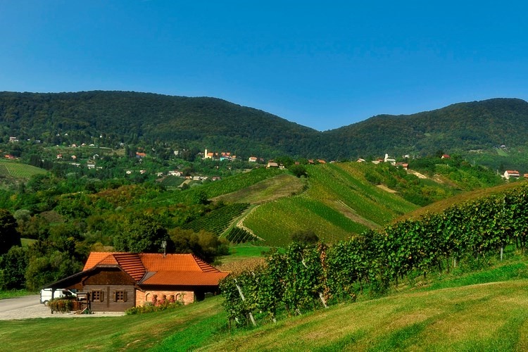 Dobra vijest: Zagorje danas bez novozaraženih