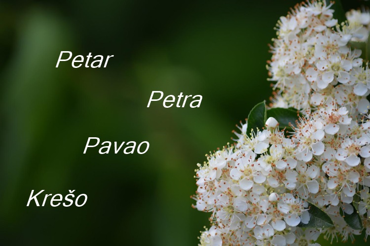 SRETAN IM IMENDAN Danas su slavljenici Petar, Petra, Pavao i Krešo