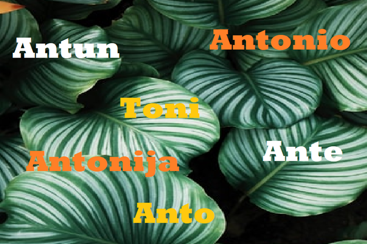 NJIHOV JE DAN Danas slavi Antun, Toni, Antonio, Antonija, Ante, Anto!
