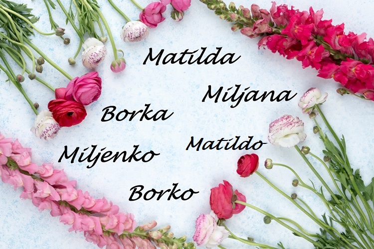 NJIHOV JE DAN Imendane slave Borko, Borka, Miljana, Miljenko, Matilda i Matildo