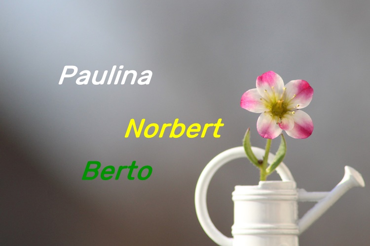 SRETAN IM IMENDAN Godovnjaci su danas Norbert, Berto i Paulina