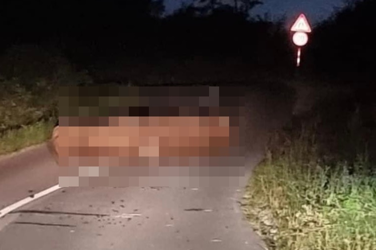 Na cesti od Cerja prema Jesenju zastoj u prometu – evo što ga je uzrokovalo: „Pa nisu još izbori”