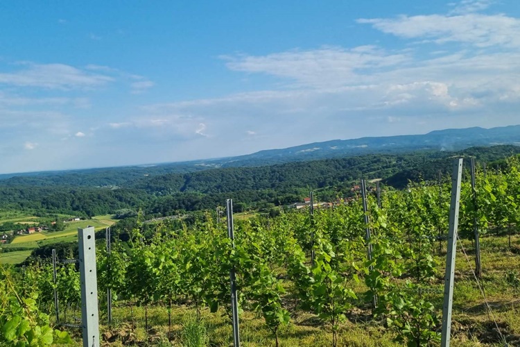 Ne trebamo kišobrane! Novi tjedan počinje uz sunce, ali i vjetar, a evo kakva će biti temperatura