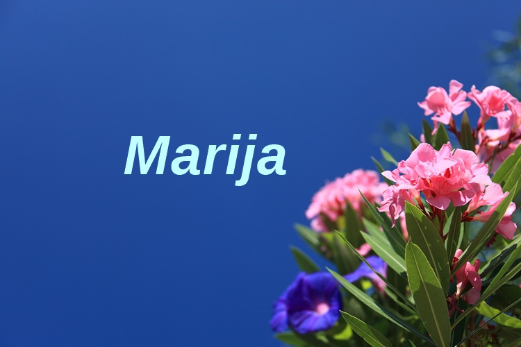 Današnje slavljenice su Marije – sretan im imendan!