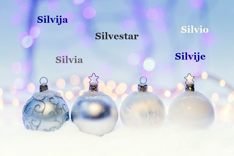 SRETAN IMENDAN Posljednji ovogodišnji slavljenici su Silvestar, Silvija i Silvio!