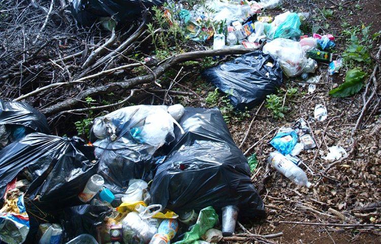 ZABRINJAVAJUĆE Istraživanje pokazalo – crne vreće su otrovne i kancerogene