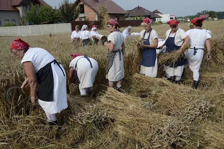 Održane 8. Žetvene svečanosti KUD-a „Mak“ u Trnovcu