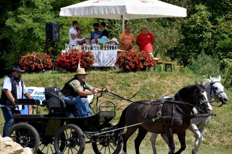 U Ludbregu uskoro omiljena ljetna manifestacija - konjičke igre