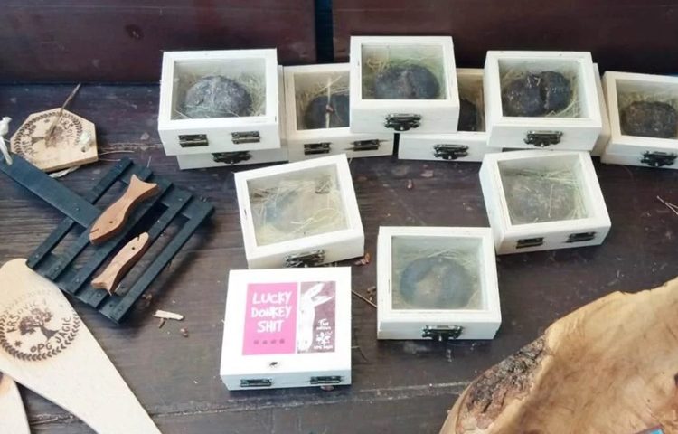JEDINSTVEN HRVATSKI SUVENIR „LUCKY DONKEY SHIT” Vjerovali ili ne, ovo se prodaje...i kupuje!