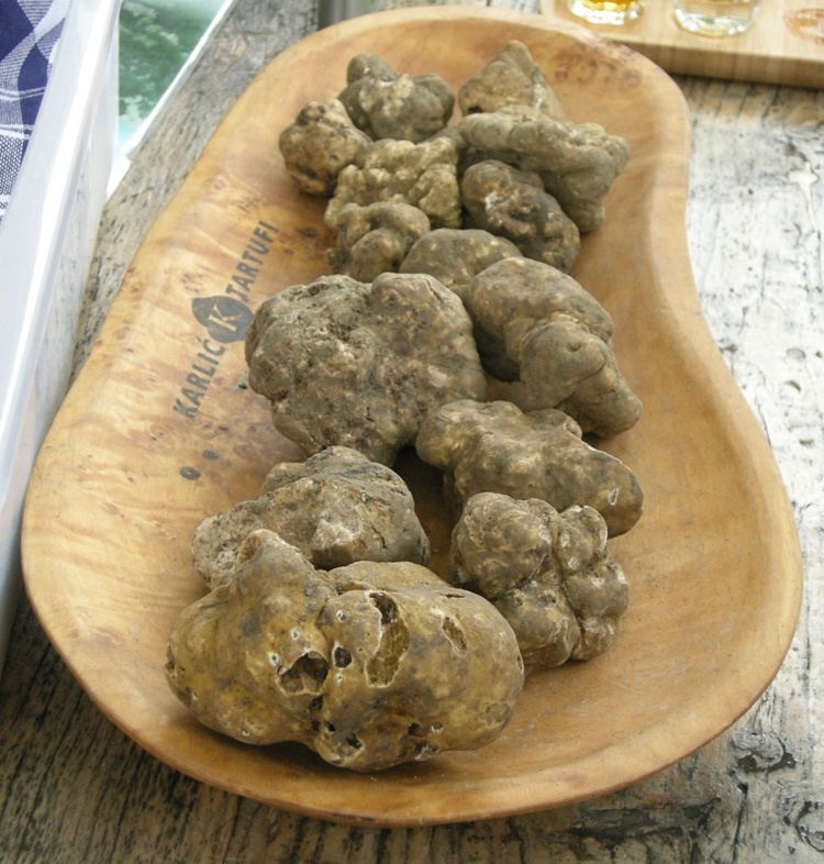 tartufi